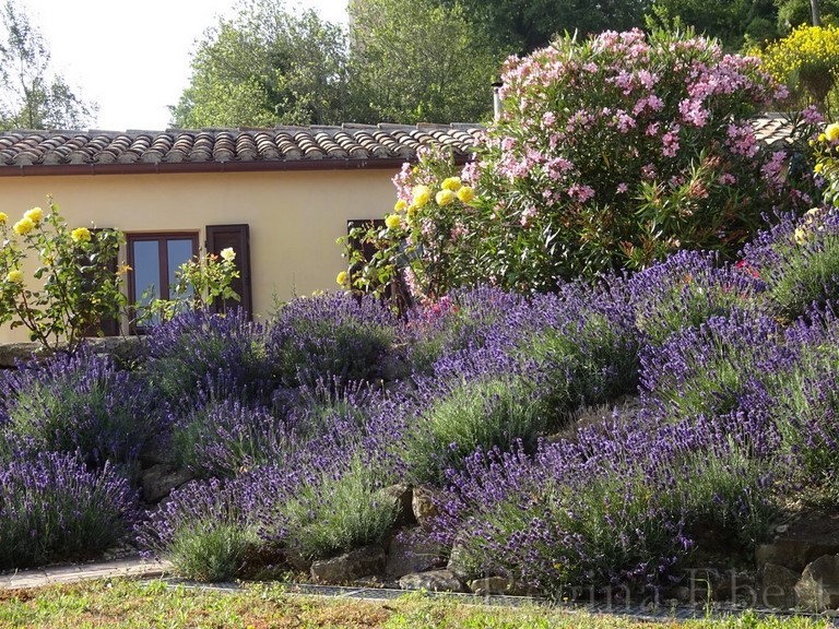 Bottega Staffolo