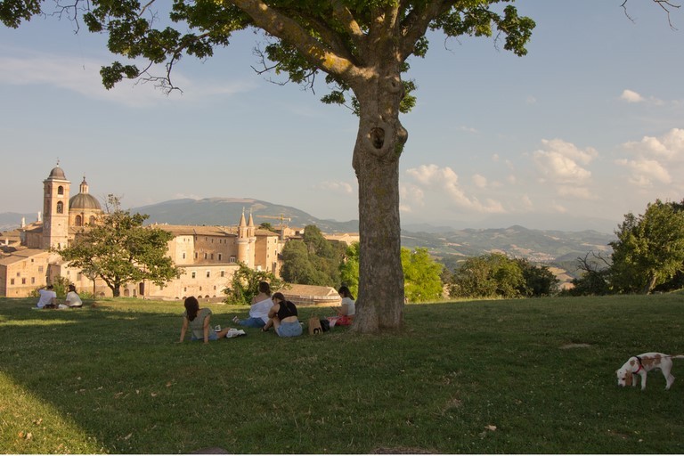 Urbino